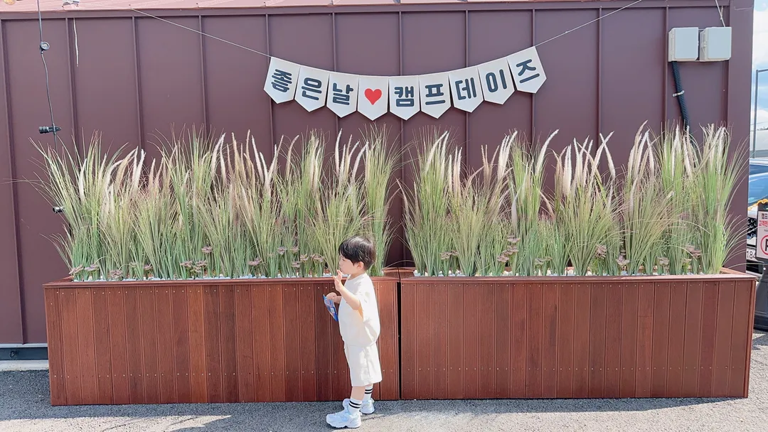 캠프데이즈