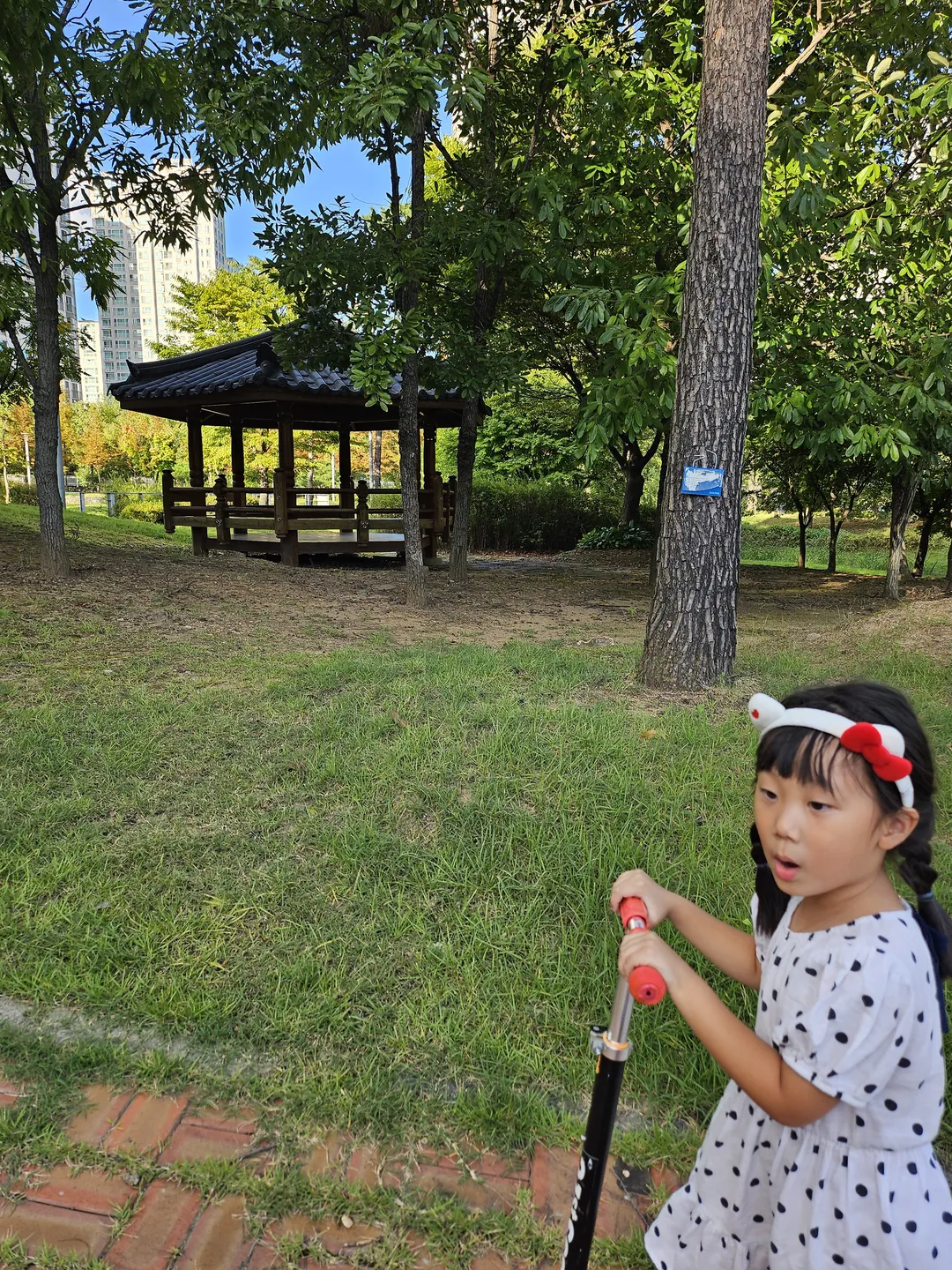 한빛공원 사진 11