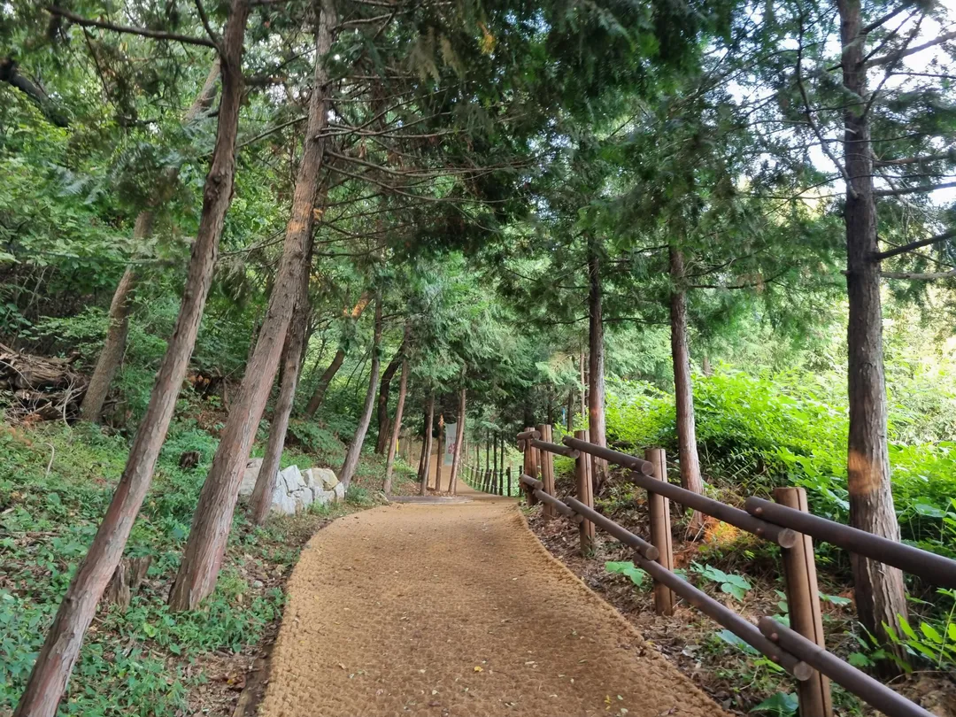 인천둘레길1코스(계양산) 사진 7