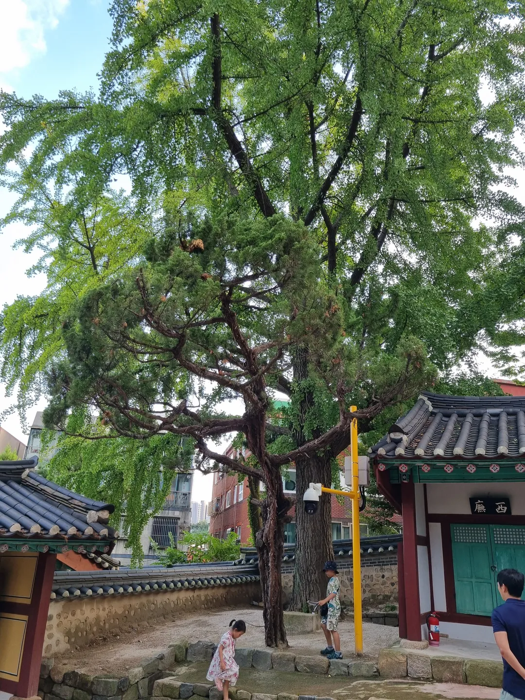 富平郷校 写真 10