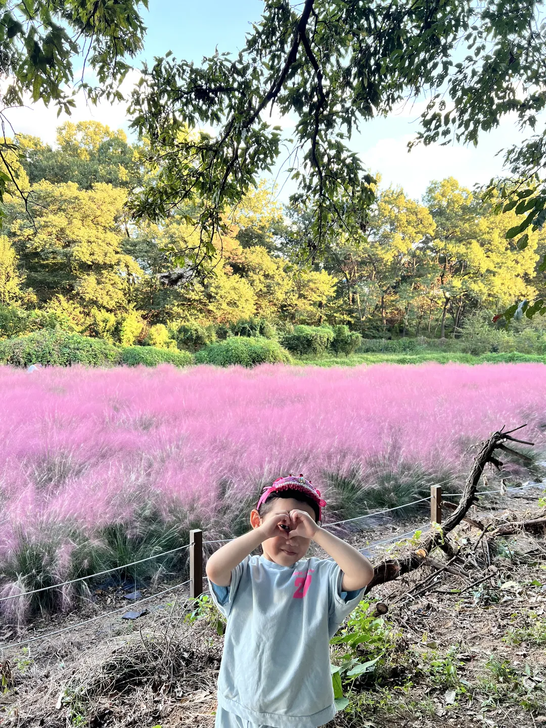 로터스 사진 7
