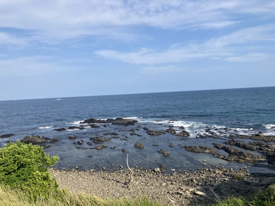 구룡포주상절리 사진 11