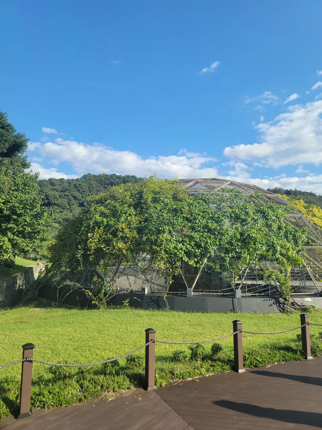 公州武寧王陵と王陵園 写真 10