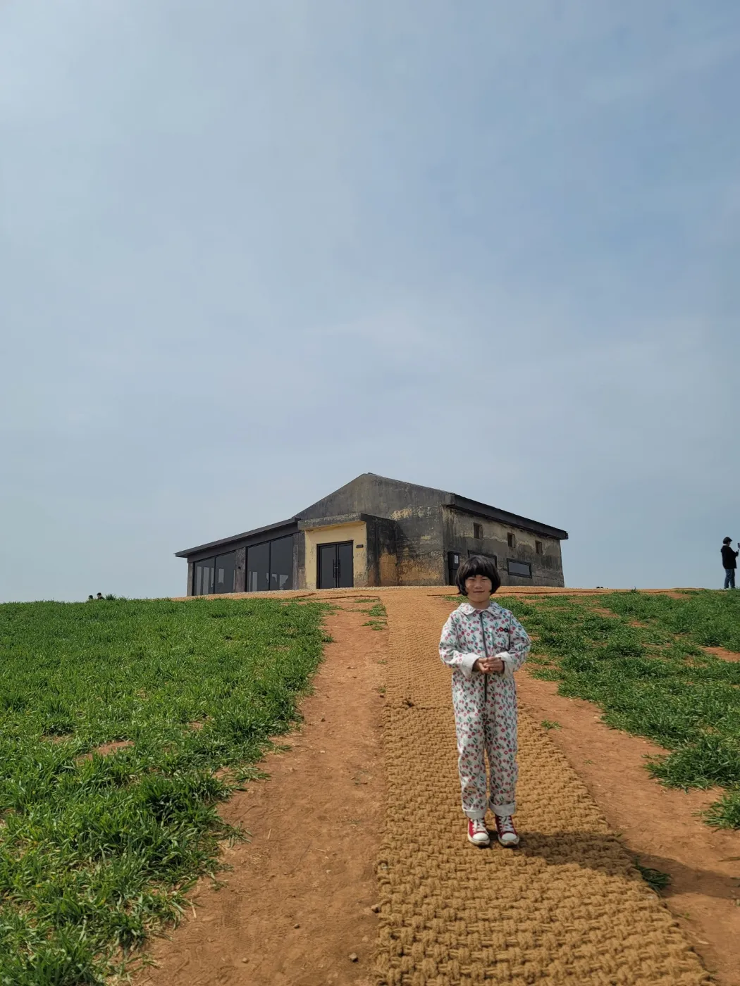 천북청보리밭