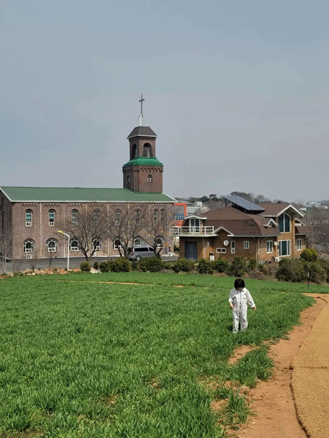 천북청보리밭
