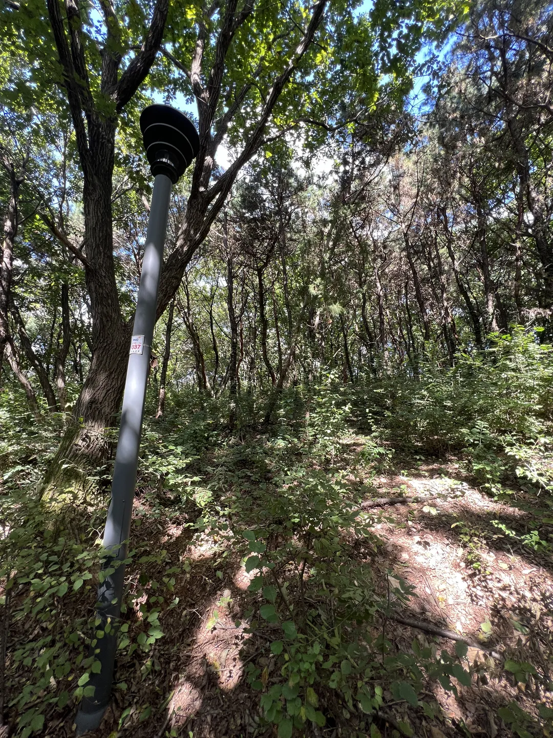 ハンソル公園 写真 20