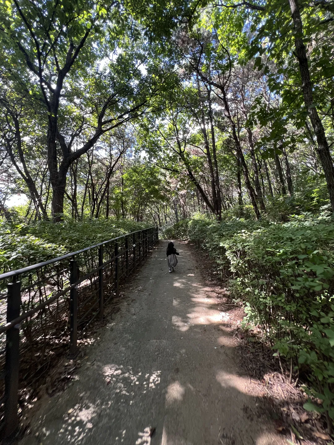 ハンソル公園 写真 18