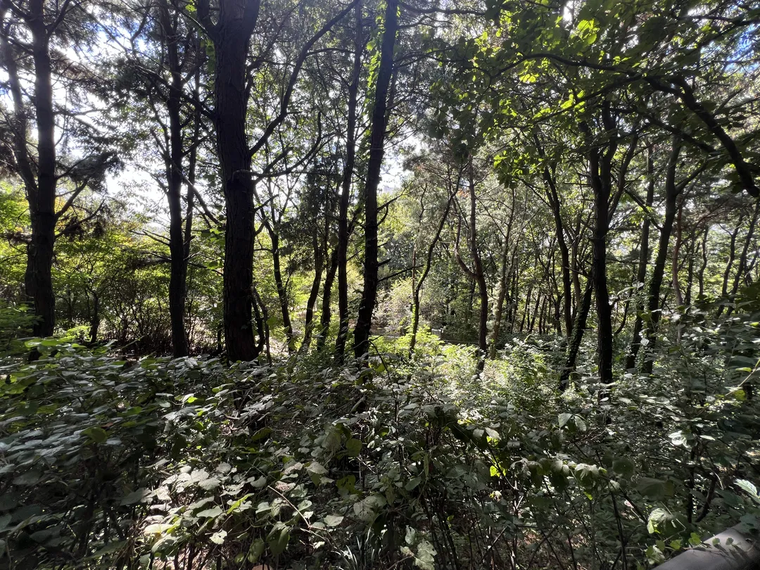 ハンソル公園 写真 19