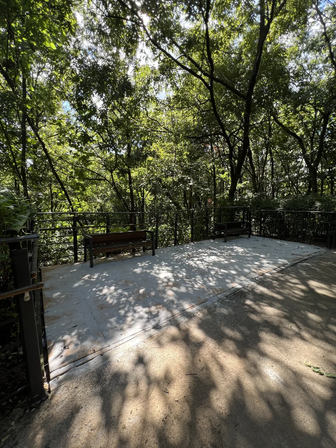 ハンソル公園 写真 17
