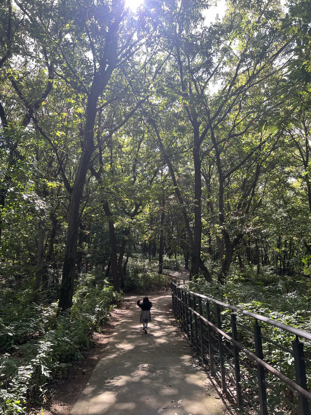 ハンソル公園 写真 12