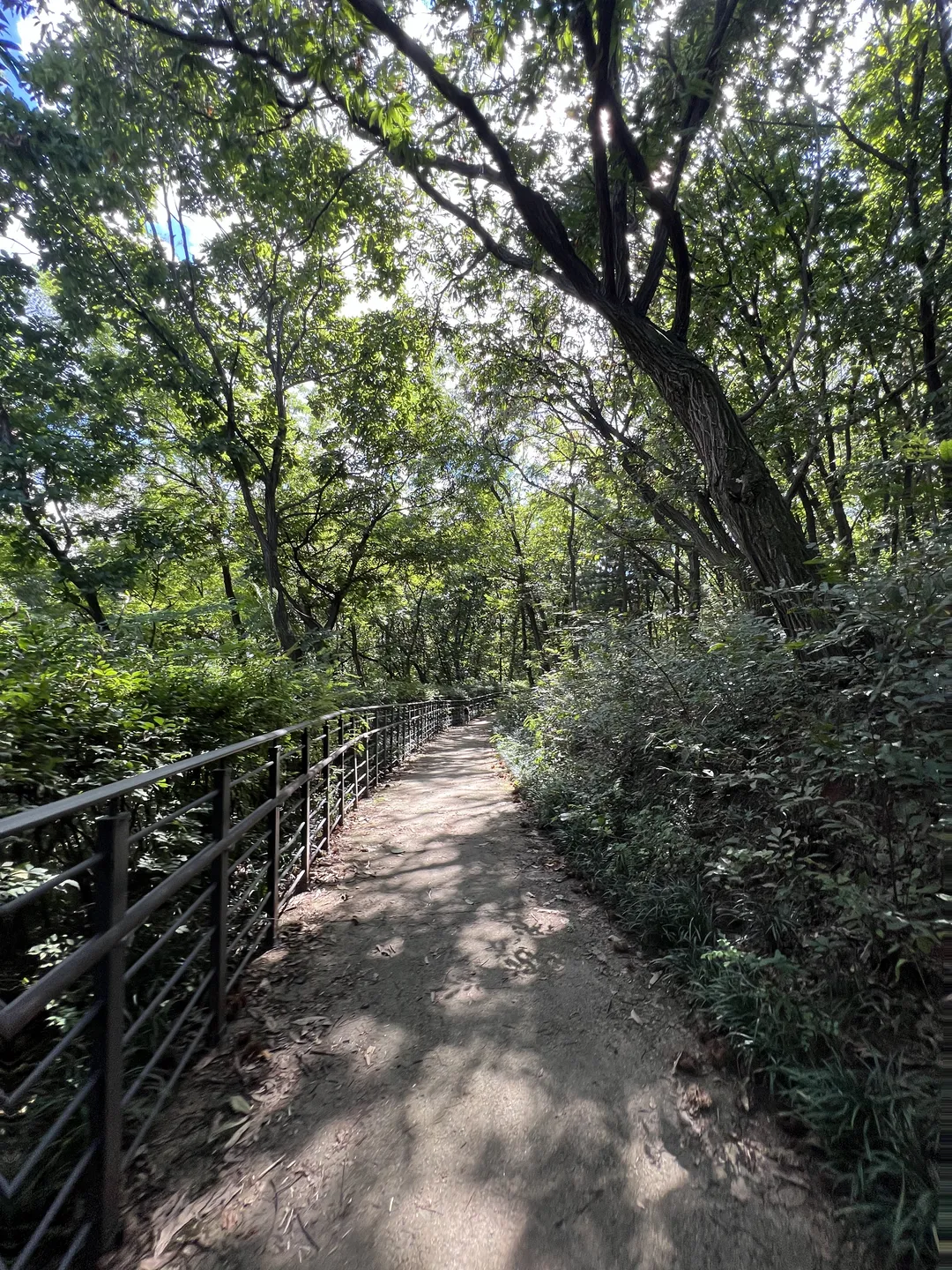 ハンソル公園 写真 15