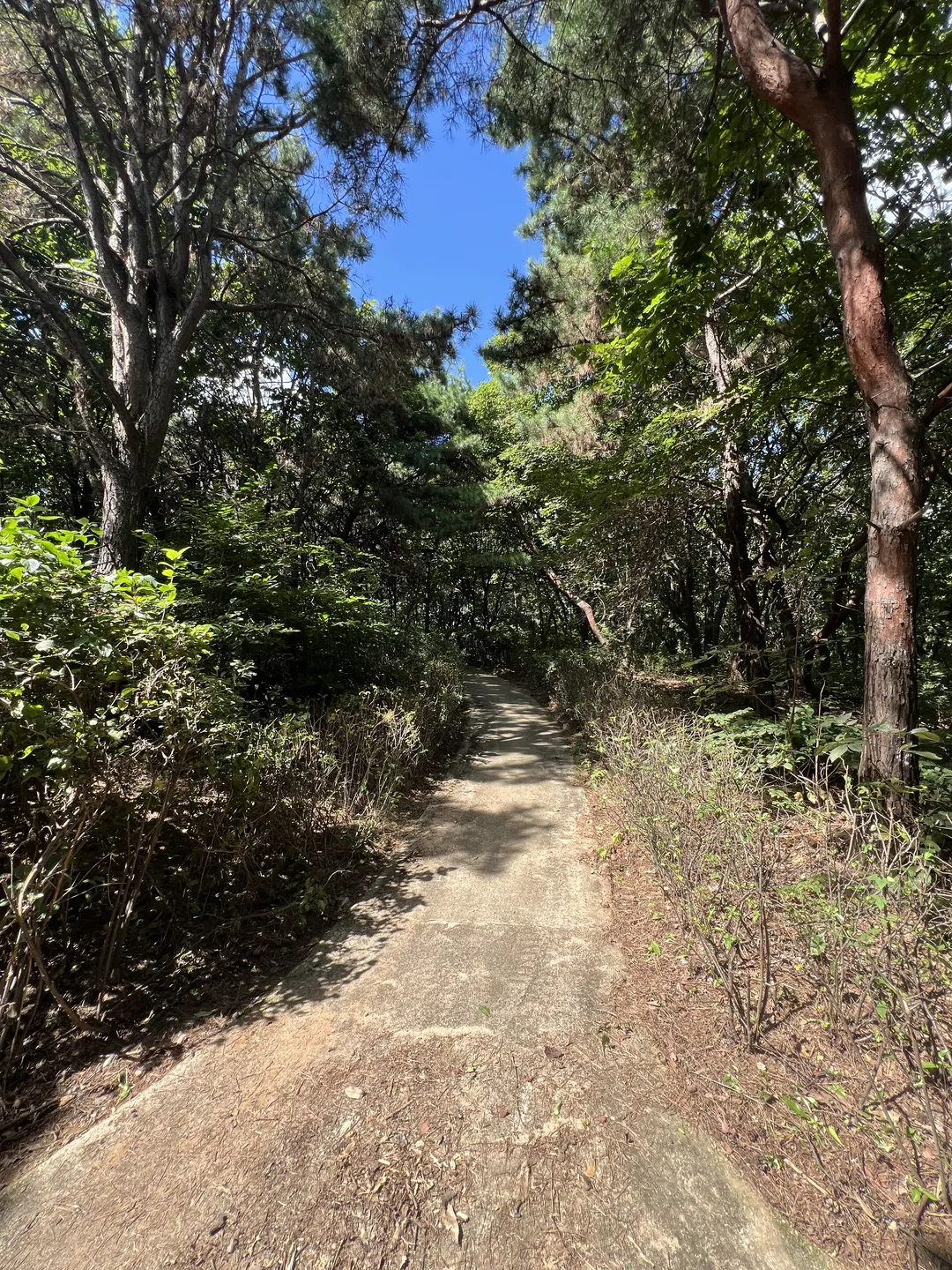 ハンソル公園 写真 16