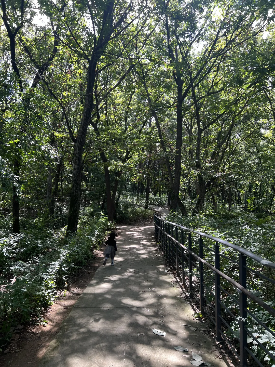 ハンソル公園 写真 11