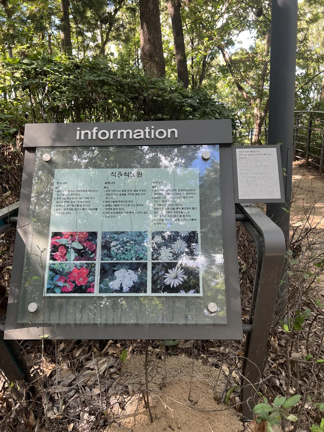 ハンソル公園 写真 27