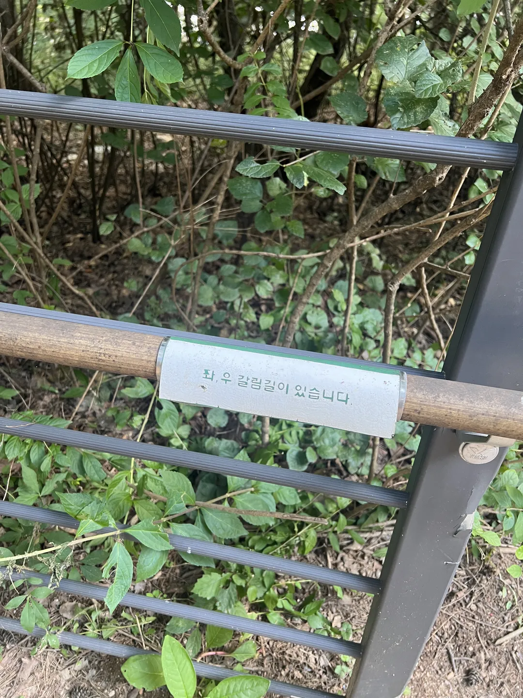 ハンソル公園 写真 22