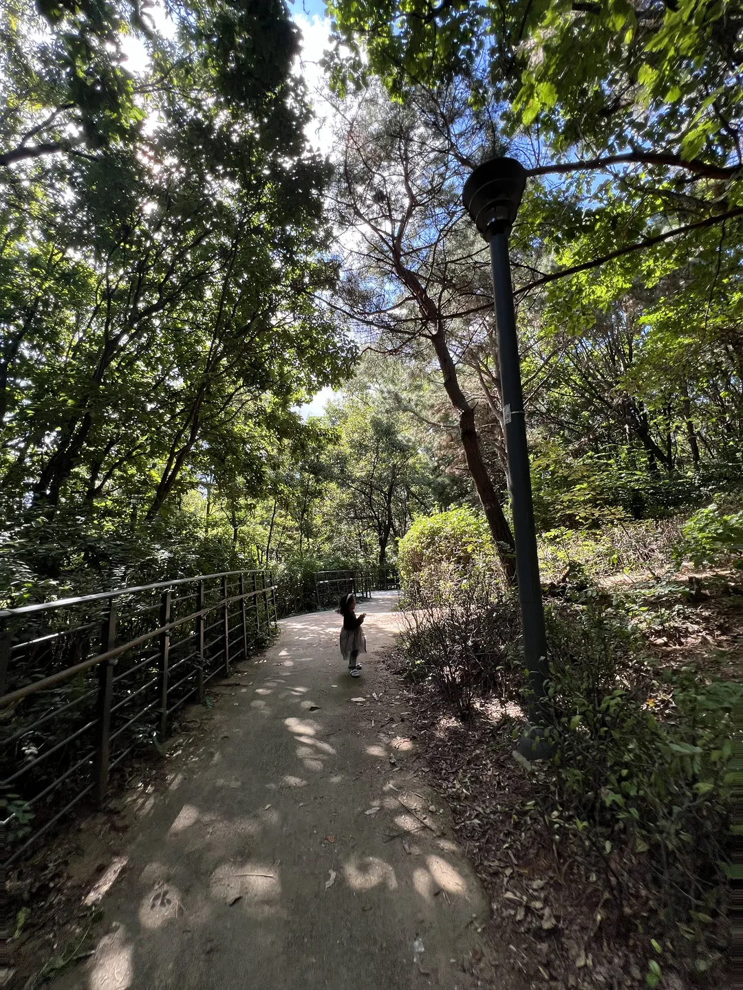 ハンソル公園 写真 7