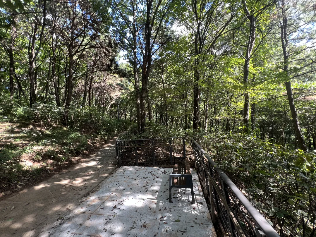 ハンソル公園 写真 21