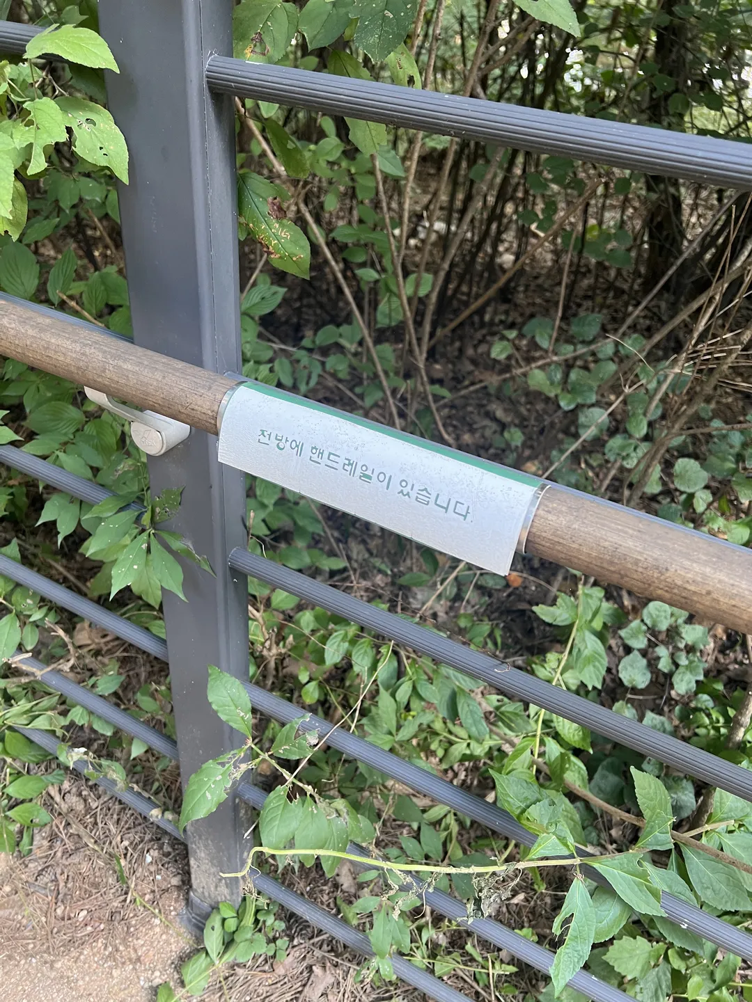 ハンソル公園 写真 23