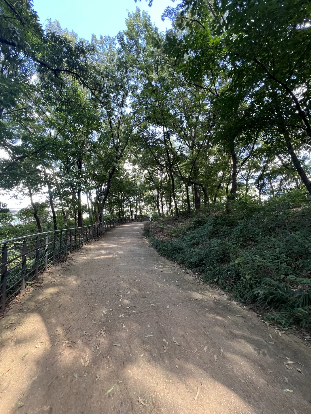 ハンソル公園 写真 9