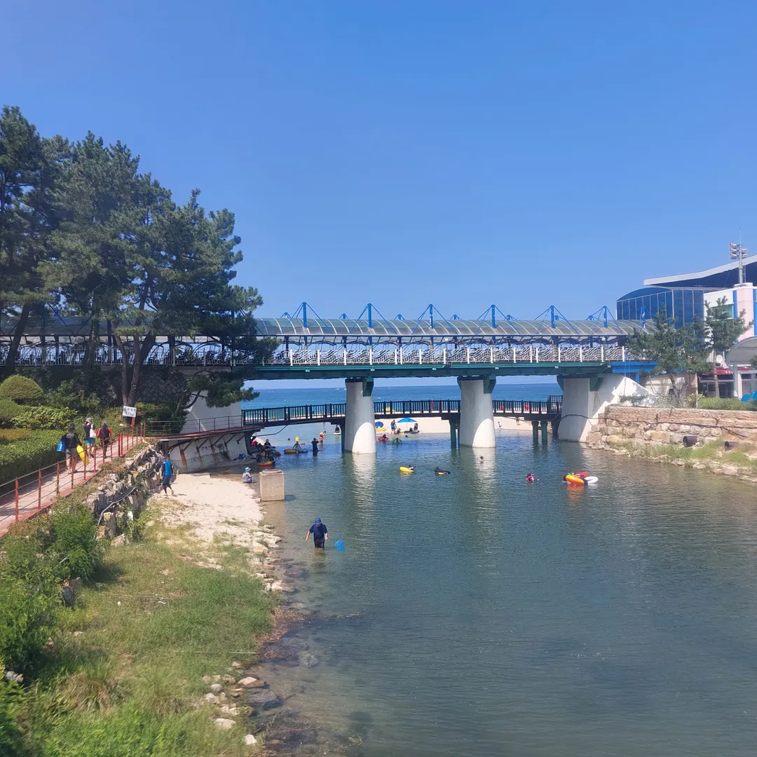 용화해수욕장 사진 6
