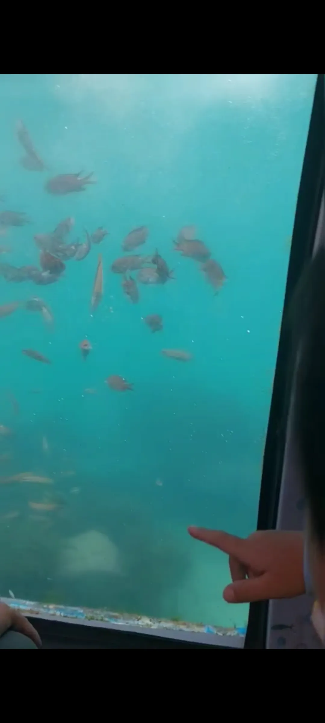 함덕잠수함