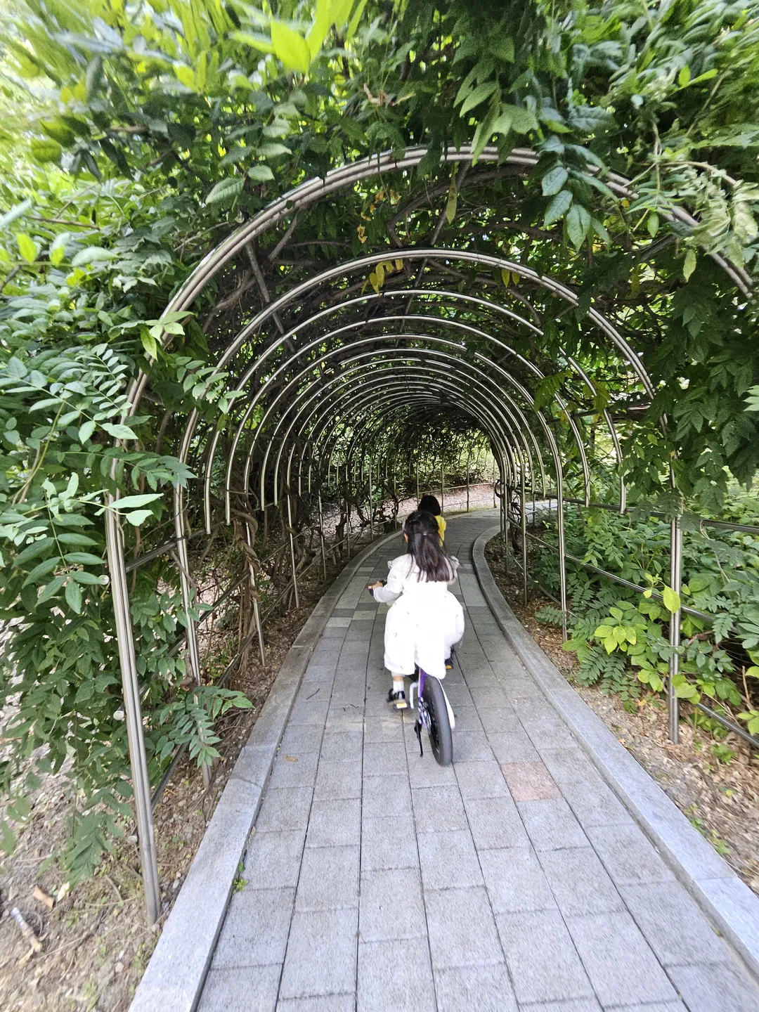 고양피크닉시민공원 사진 19