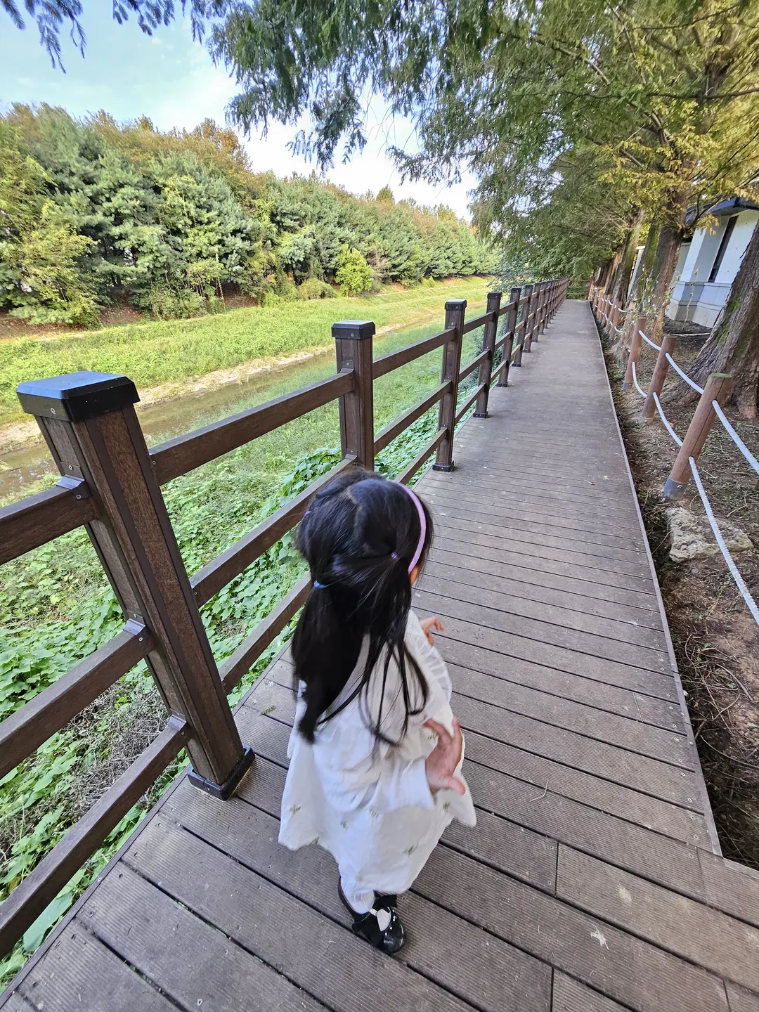 고양피크닉시민공원 사진 7