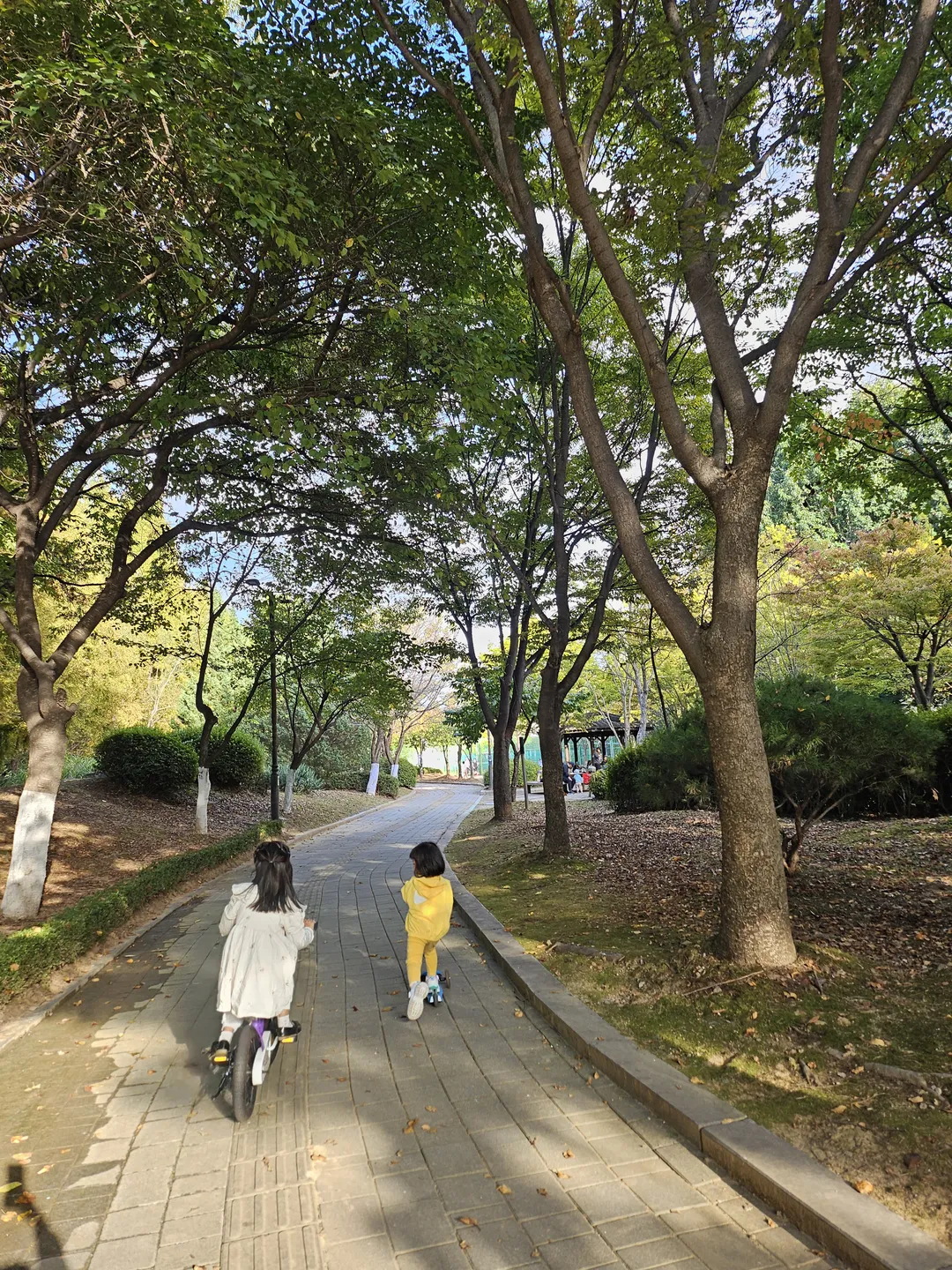고양피크닉시민공원 사진 27