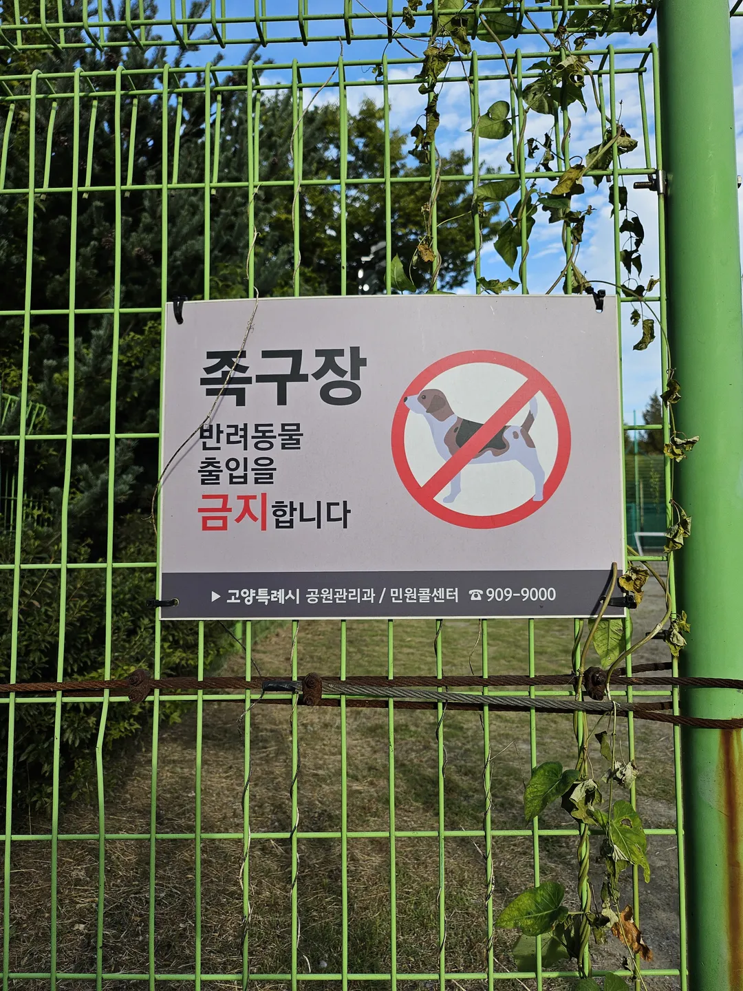 고양피크닉시민공원 사진 23