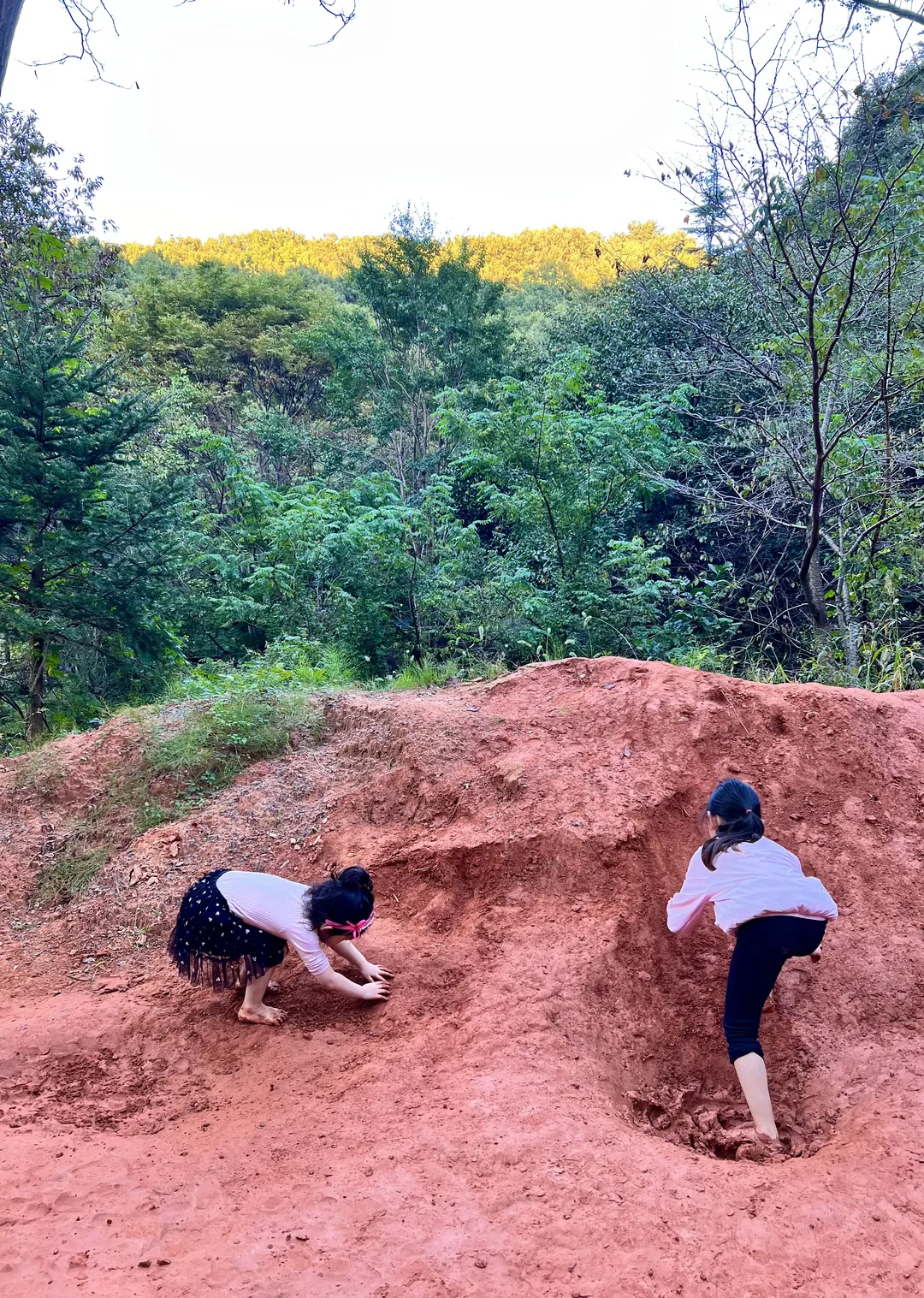 장동산림욕장