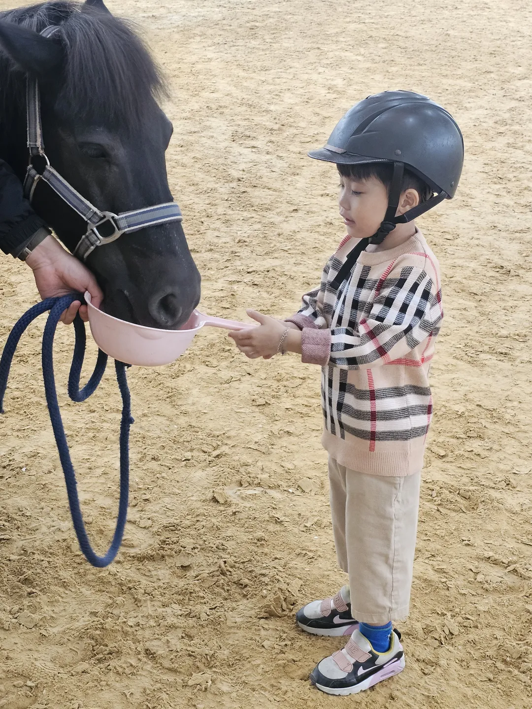 ソノフェリチェ乗馬クラブ 写真 7