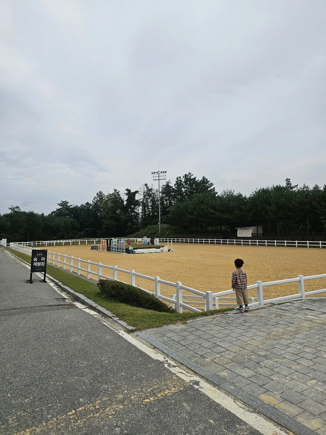 ソノフェリチェ乗馬クラブ 写真 9