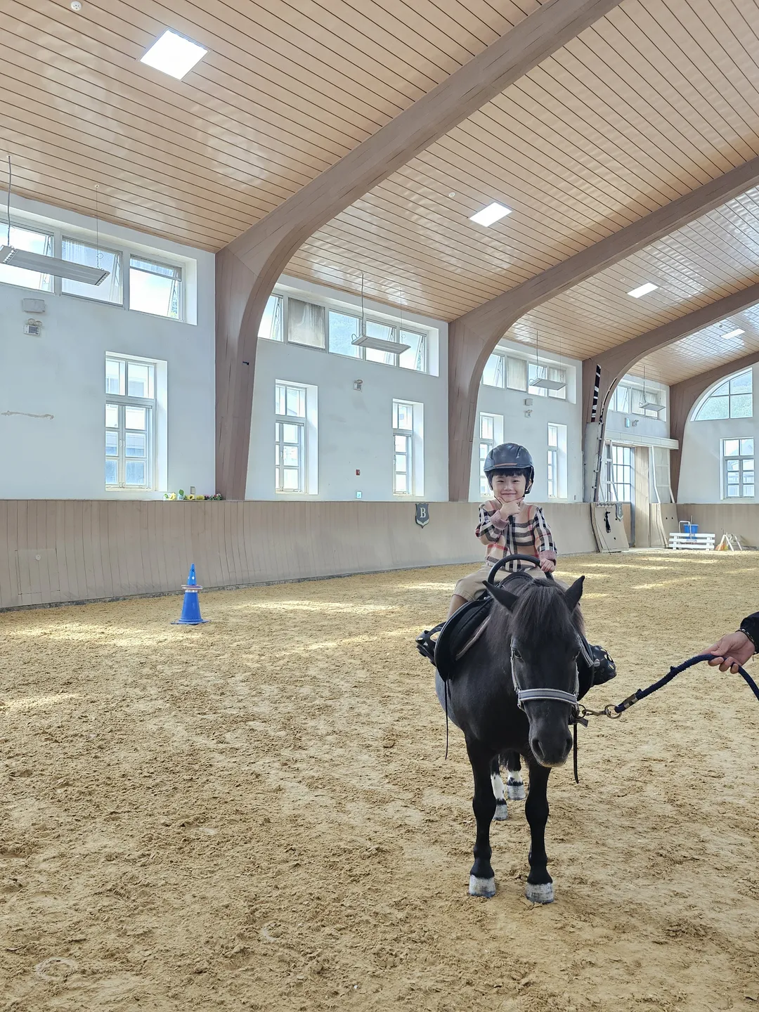 ソノフェリチェ乗馬クラブ 写真 8