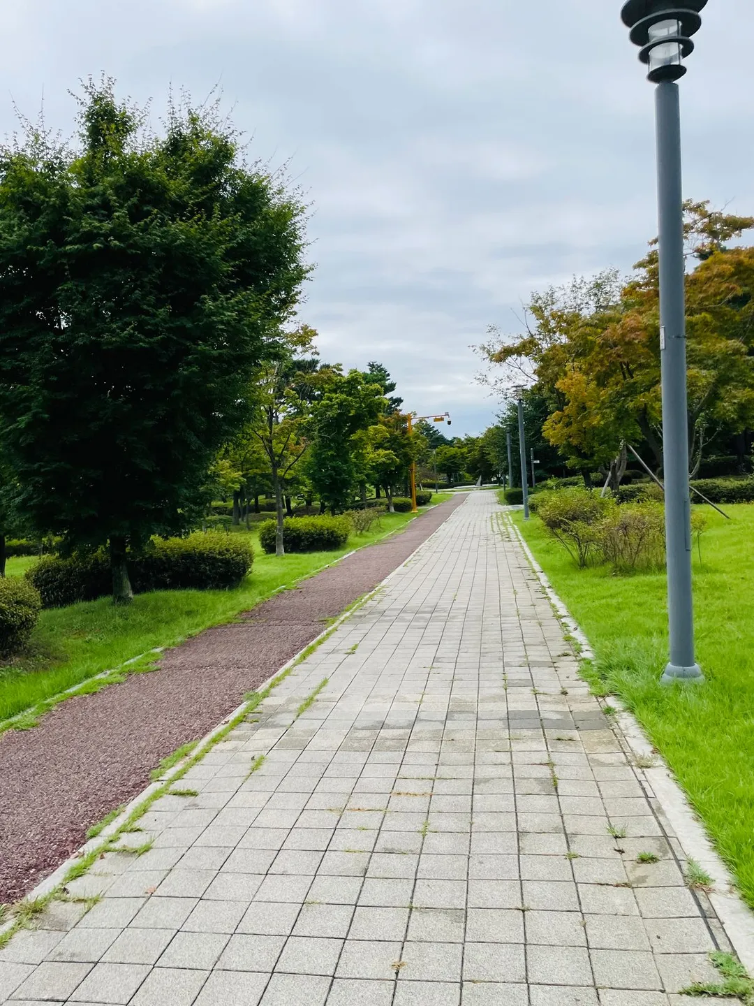 한빛공원 사진 25