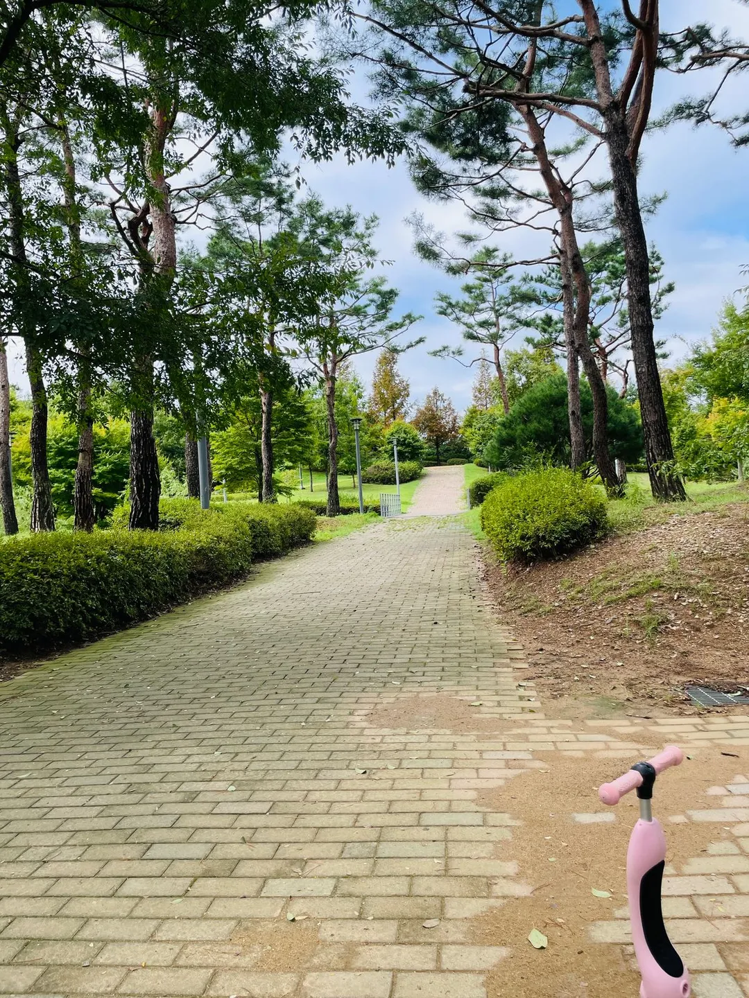 한빛공원 사진 30
