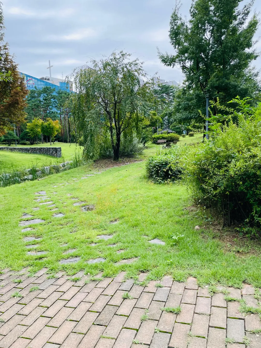 한빛공원 사진 27