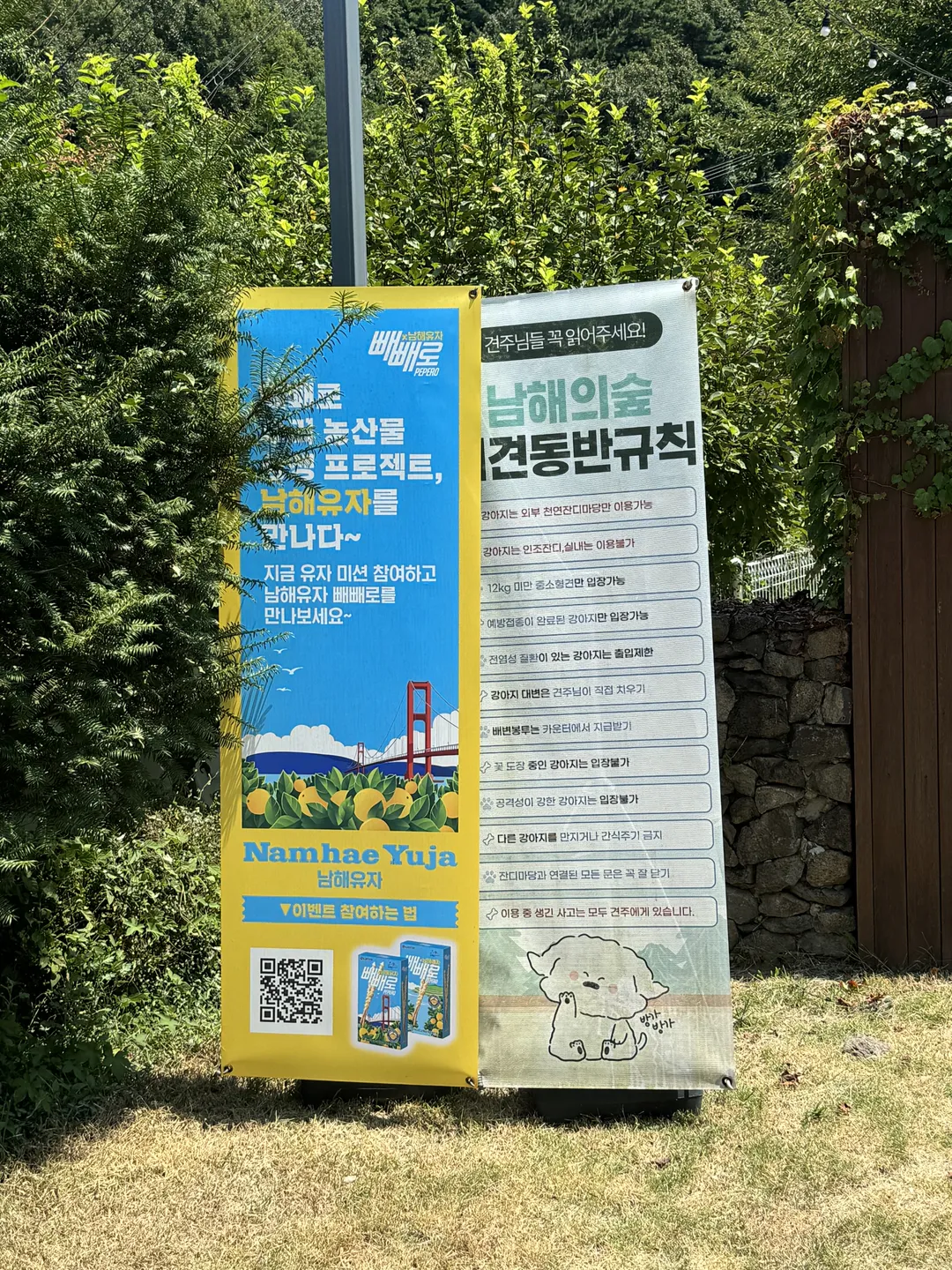 남해의숲 사진 19