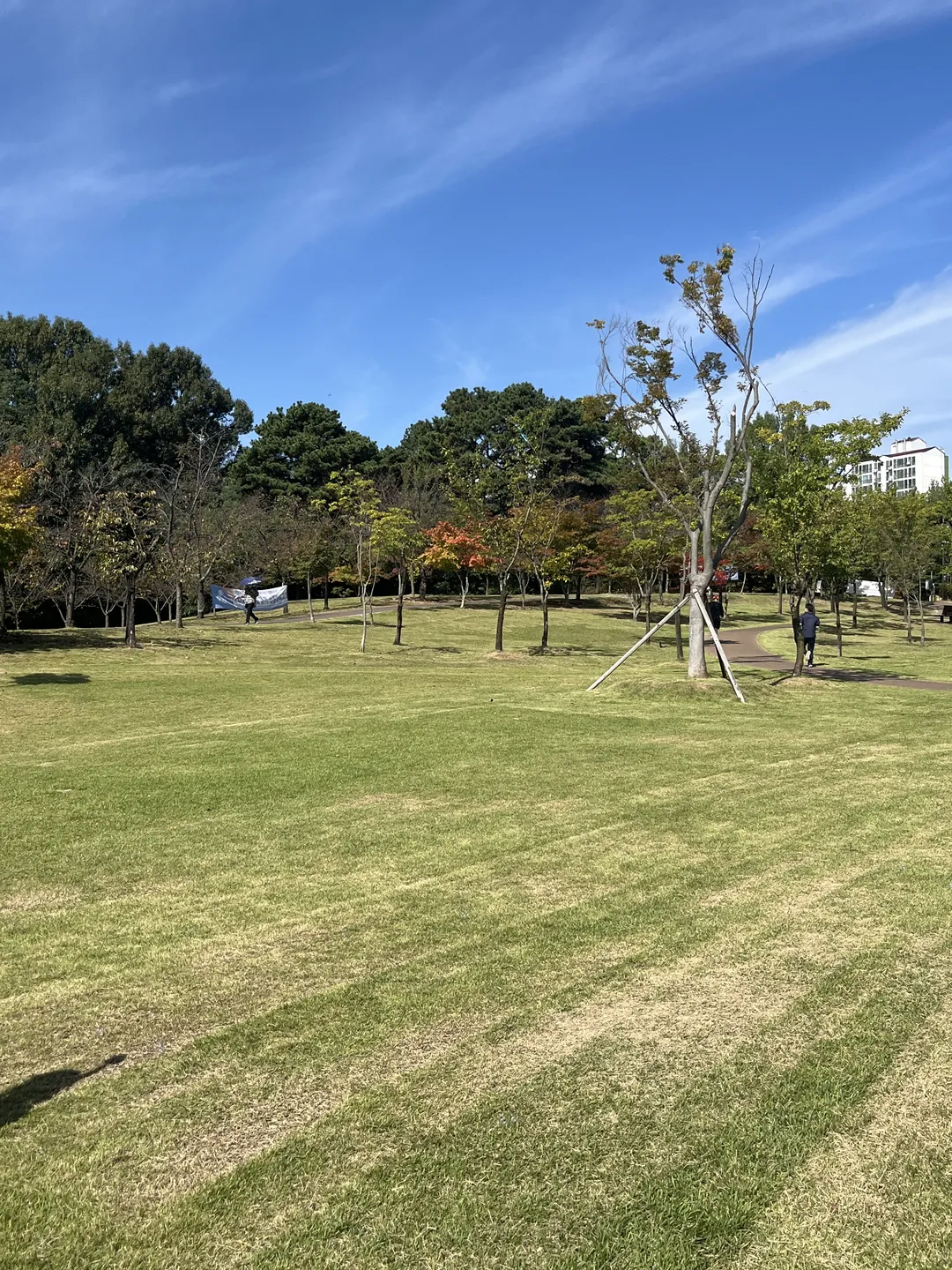 은구비공원 사진 6