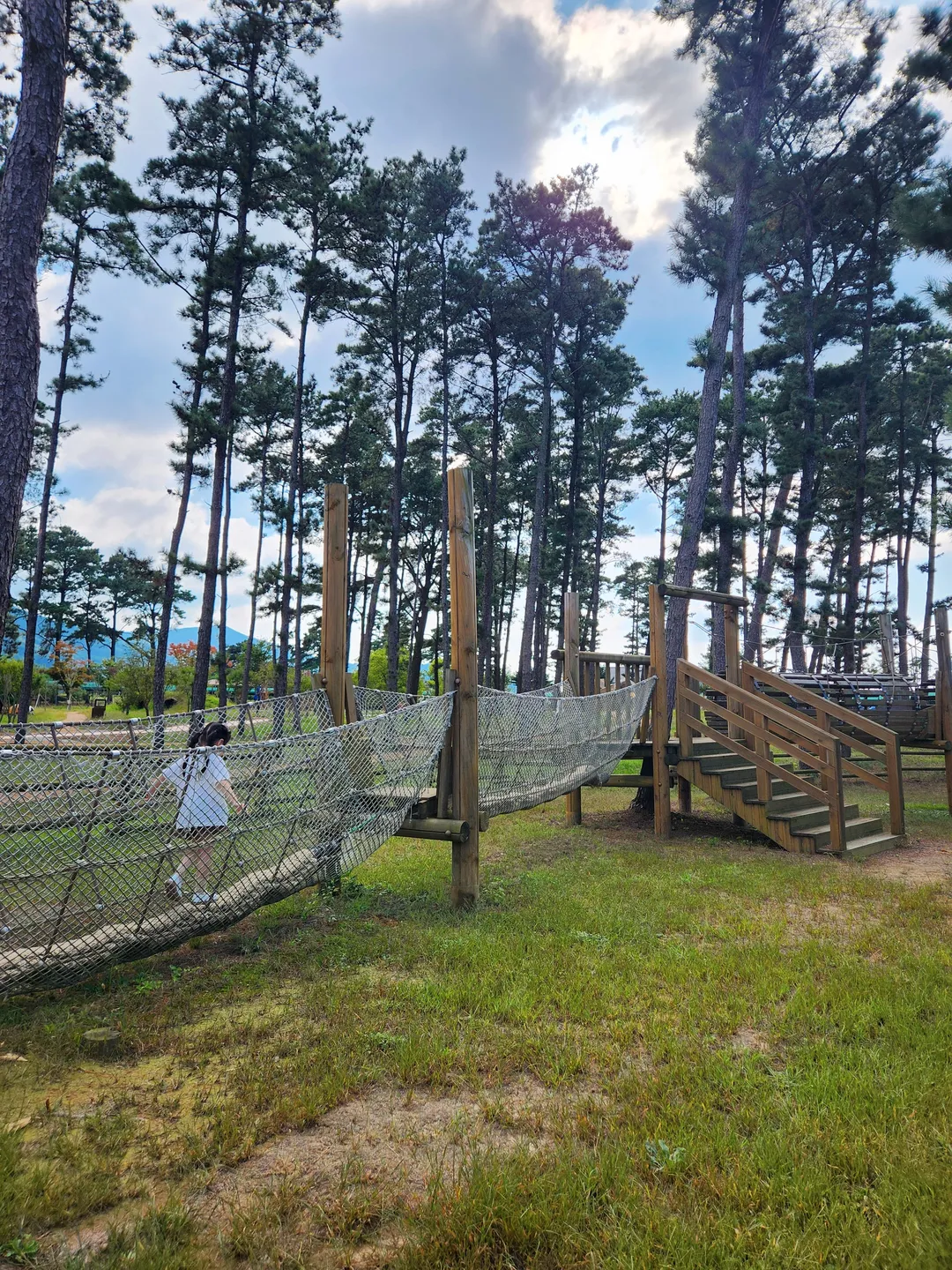 Baekdudaegan Forest Experience Center for Young Children photo 20