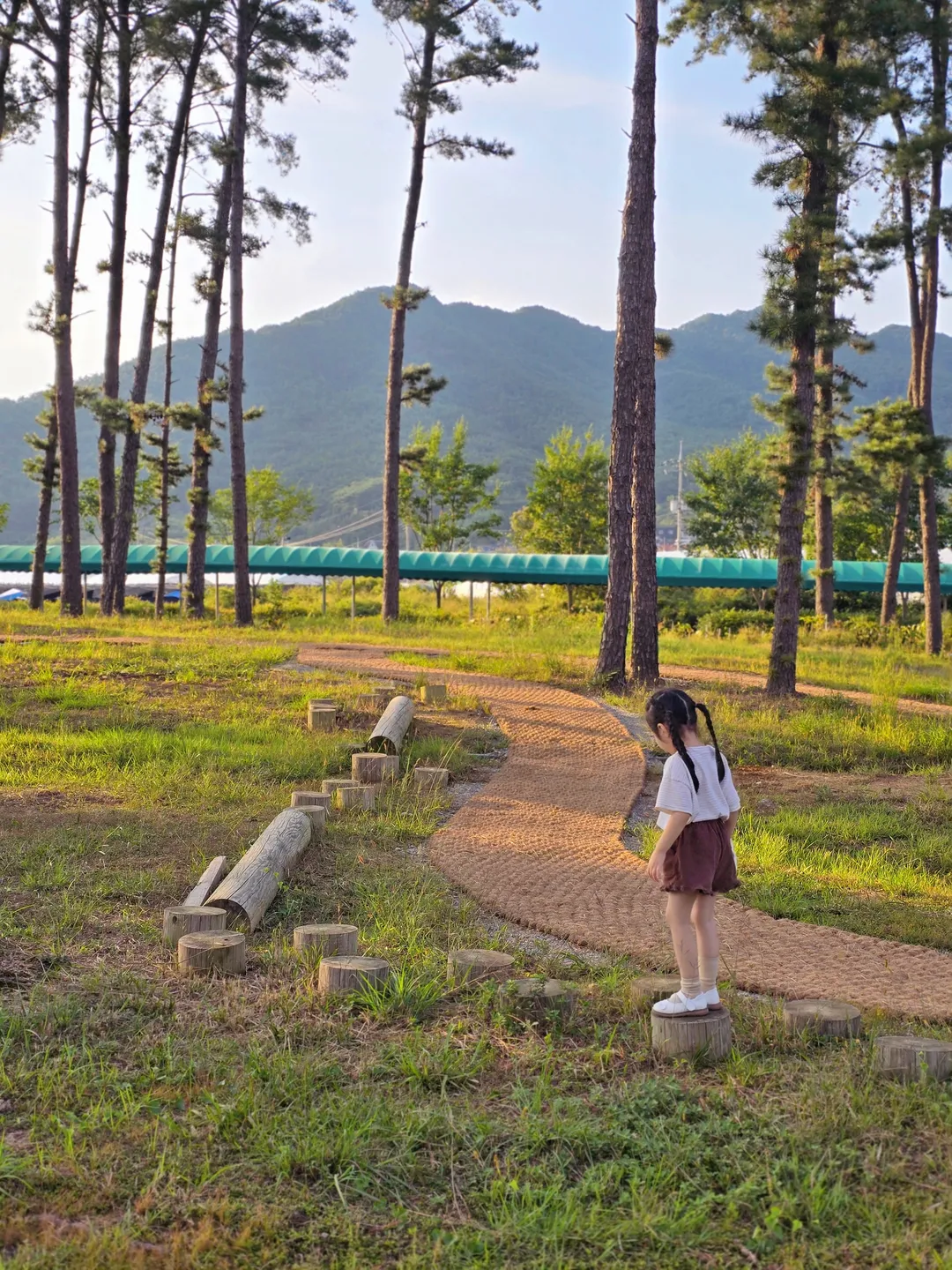 Baekdudaegan Forest Experience Center for Young Children photo 8