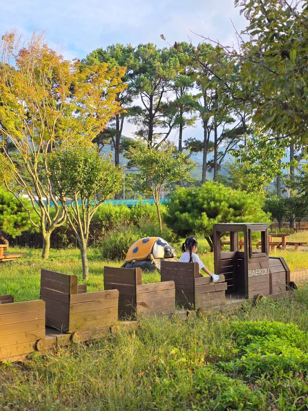 Baekdudaegan Forest Experience Center for Young Children photo 17