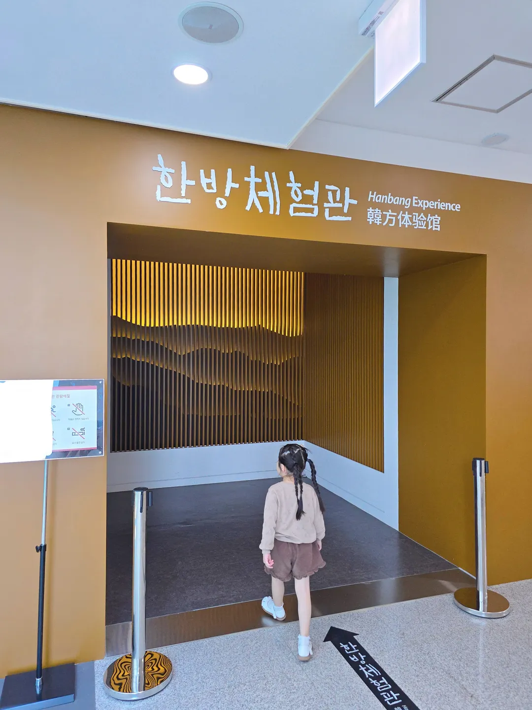 山清韓医学博物館 写真 6
