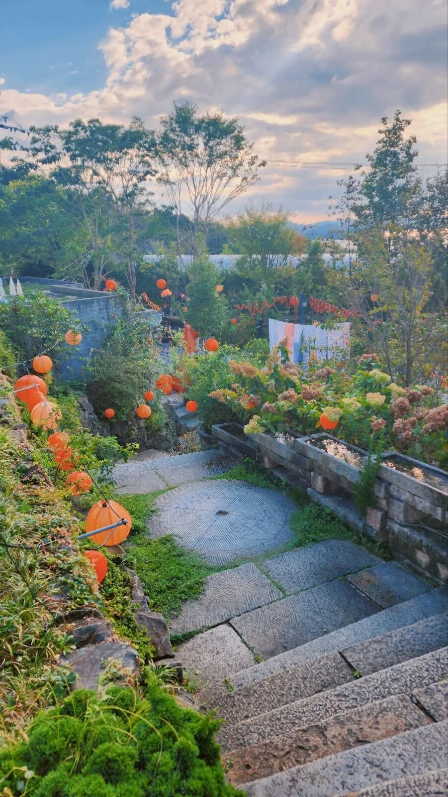 Jinhae Botanic Museum photo 9