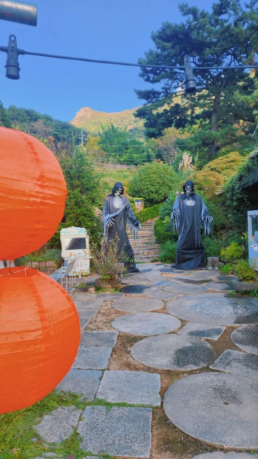 Jinhae Botanic Museum photo 12