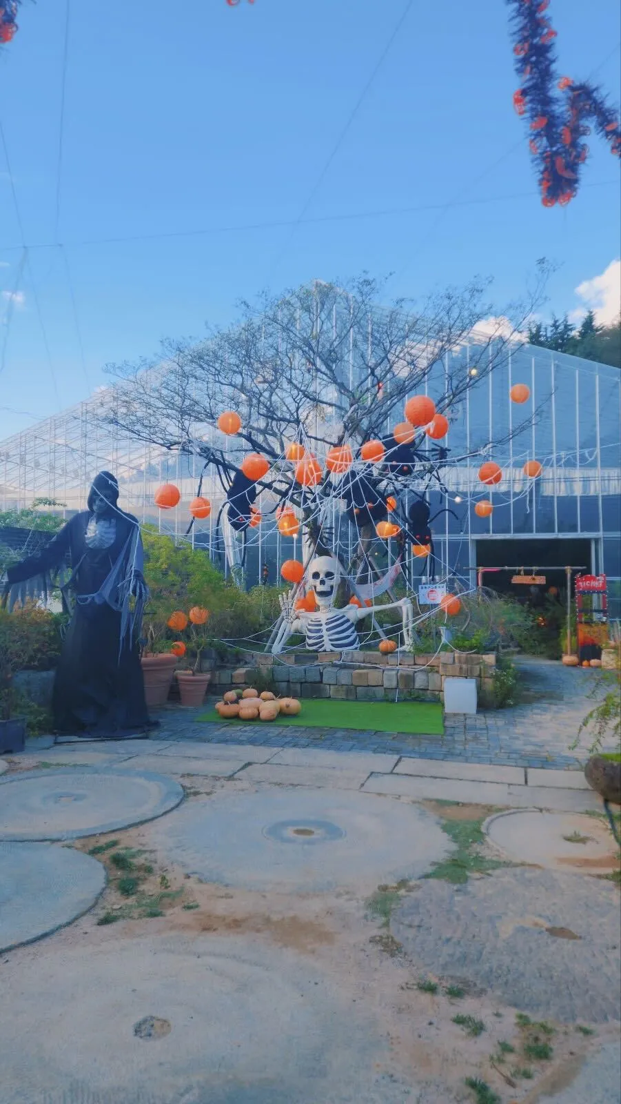 Jinhae Botanic Museum photo 11