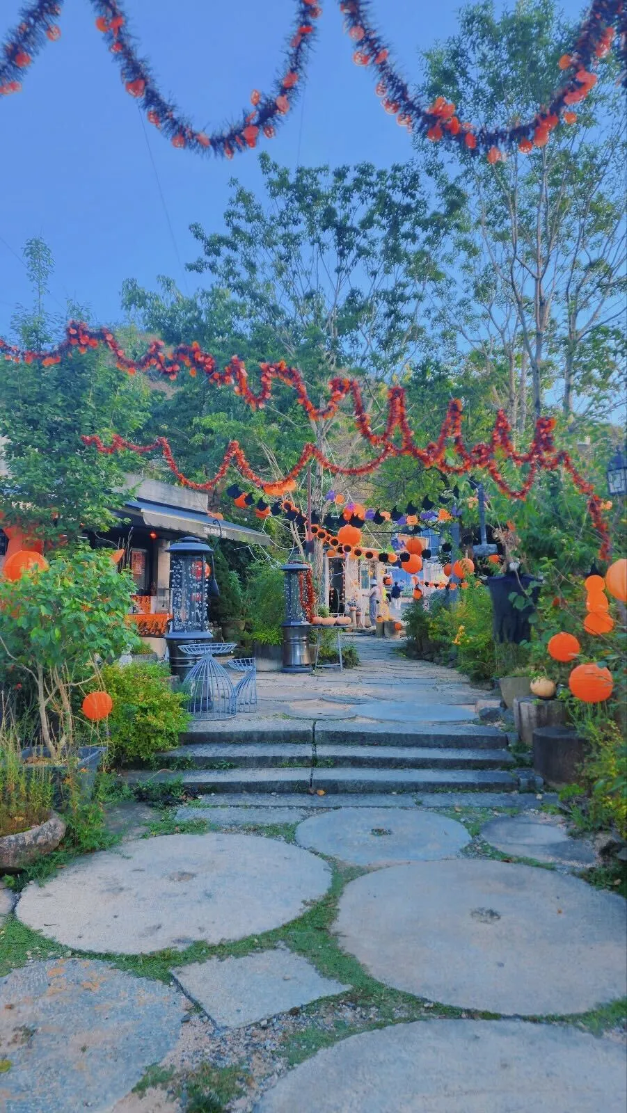 Jinhae Botanic Museum photo 10