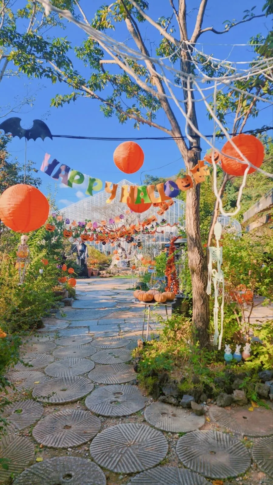 Jinhae Botanic Museum photo 7