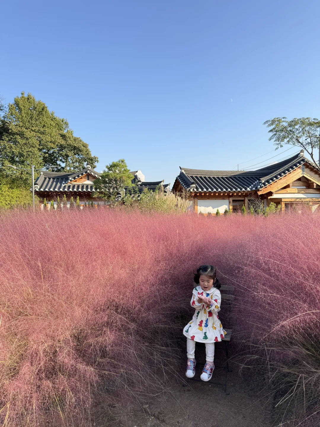 화림원