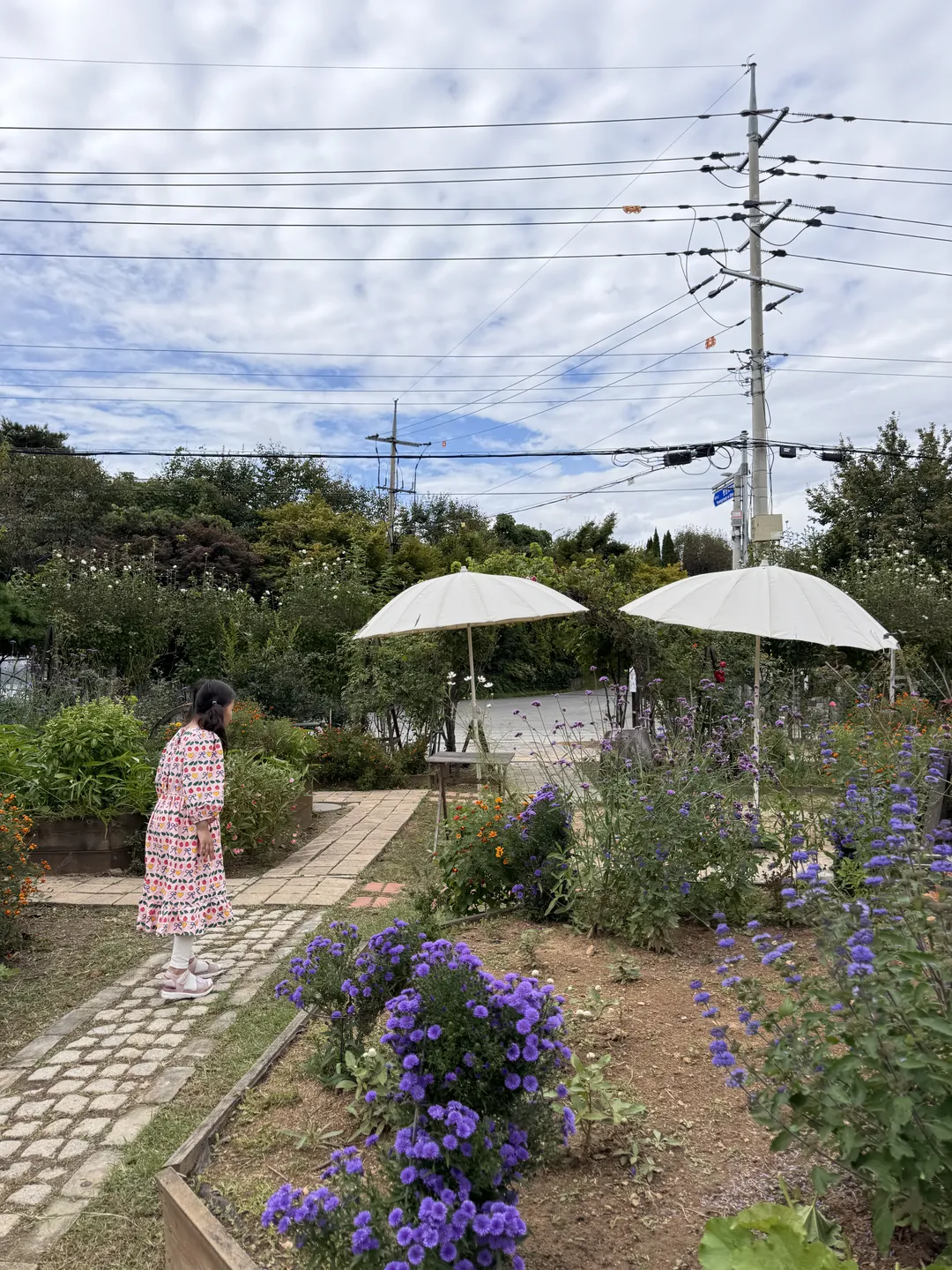 딜라의정원 사진 13