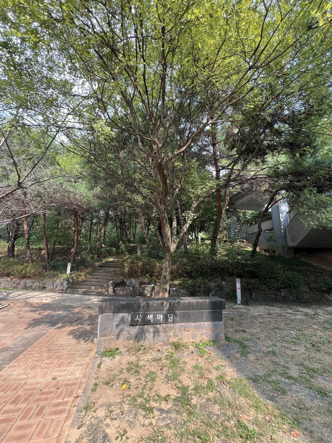 고양시립 대화도서관 사진 18
